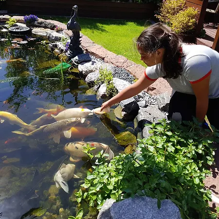 Casa de hóspedes Ferie Pa Toppen 2*