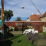 Ferie Pa Toppen Skagen